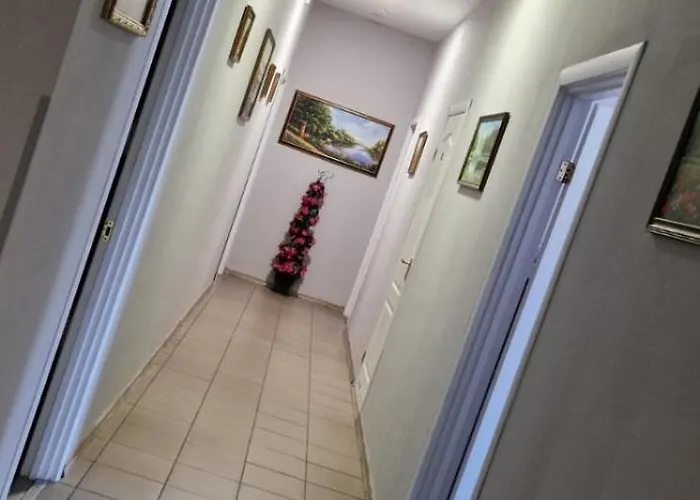 Art Galery Hostel Львів